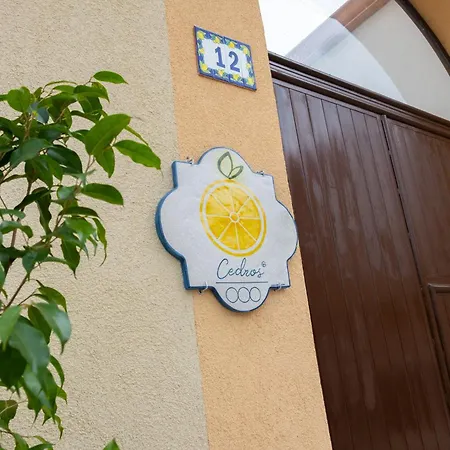 Cedros-3
